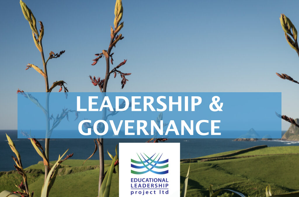 Sustainable Leadership